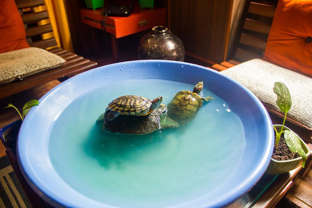 Casa Tropicana - Hotel & Homestays 帕纳吉 外观 照片